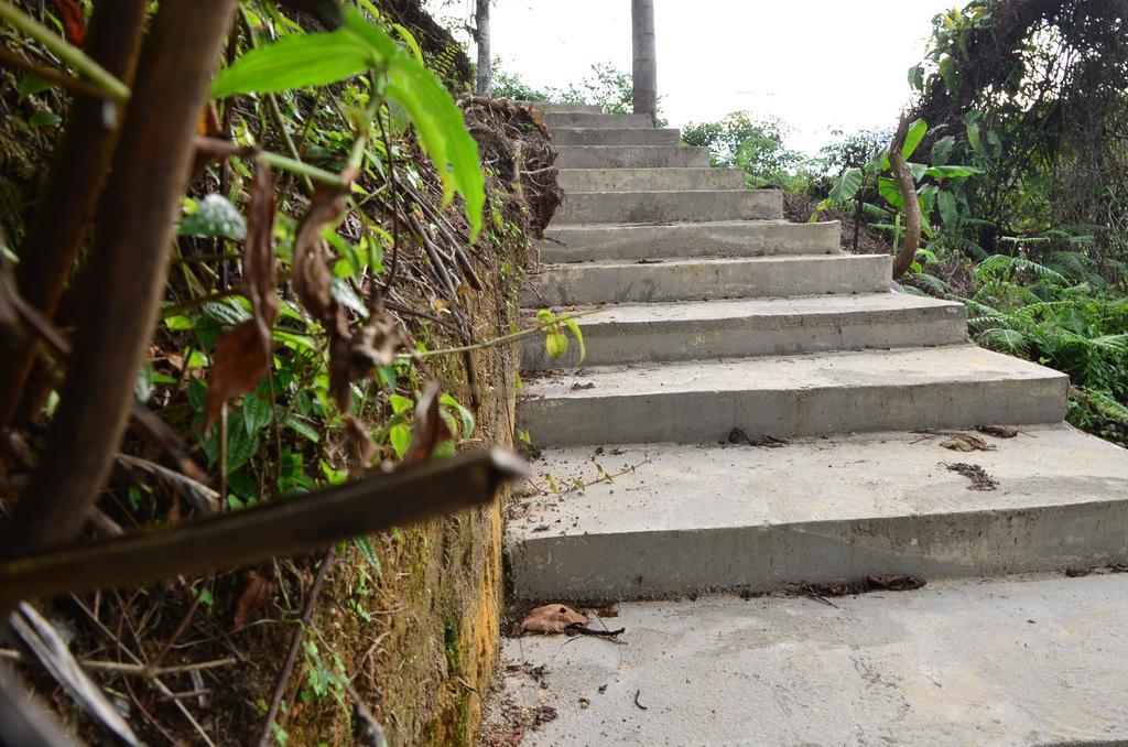 The Woodz Homestay تاناه راتا المظهر الخارجي الصورة