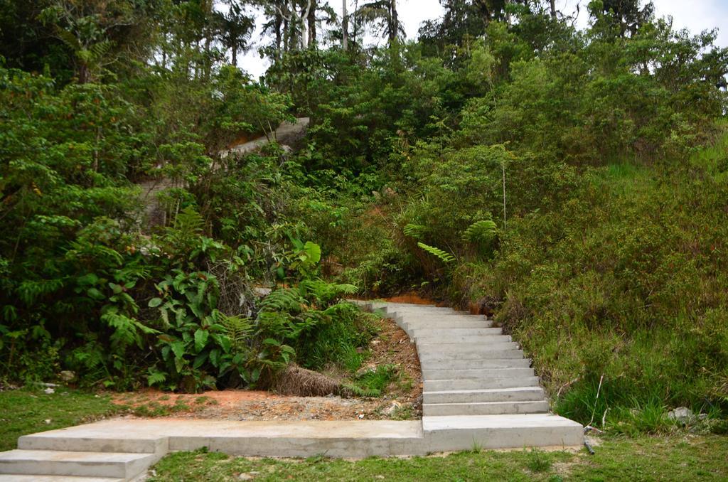 The Woodz Homestay تاناه راتا المظهر الخارجي الصورة